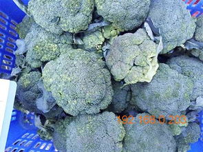 順旺農(nóng)產(chǎn)品配送服務(wù) 高效專業(yè)的蔬菜配送選擇