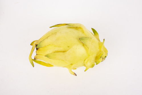 曬柿餅圖片素材下載 食品餐飲與微生物肥料視覺呈現(xiàn)