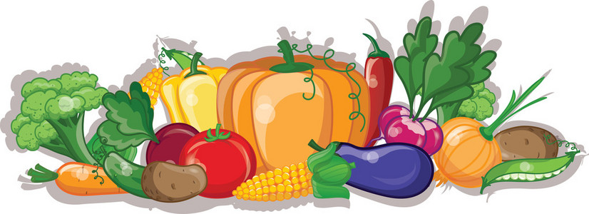 卡通蔬菜與水果 計算機信息技術在動畫與教育中的創新應用