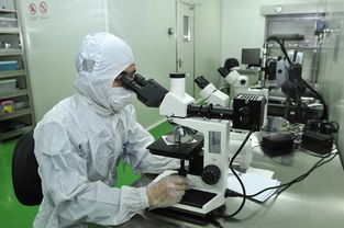 印刷電子材料、技術(shù)與應(yīng)用 計(jì)算機(jī)信息技術(shù)的融合創(chuàng)新