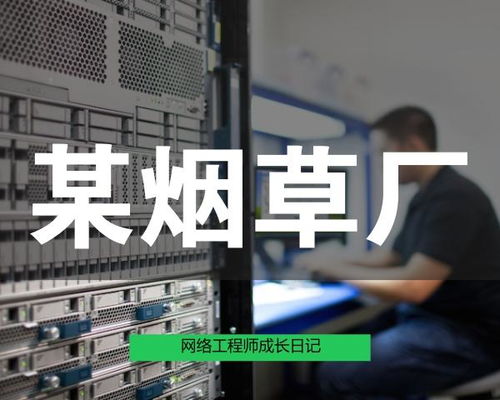 網絡工程師成長日記347 記某卷煙廠網絡改造工程的實踐與思考